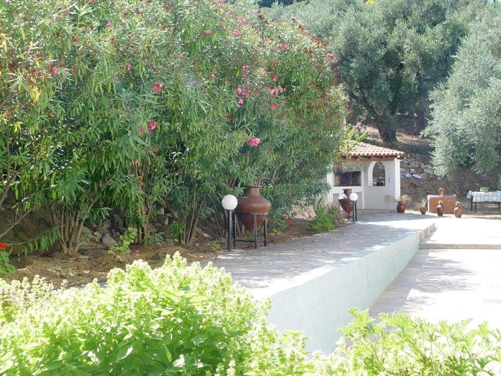 Villa Maro 斯科派洛斯 外观 照片